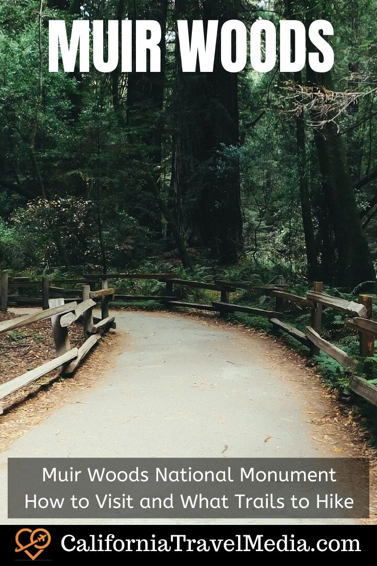 Muir Woods National Monument - How to Visit Muir Woods | What Trails to Hike in Muir Woods #california #san-francisco #marin-county #muir-woods #national-park #hike
