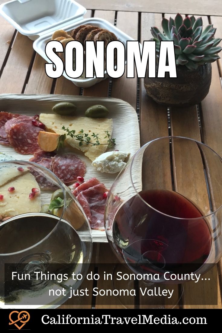 Fun Things to do in Sonoma County... not just Sonoma Valley | Things to do in Sonoma #sonoma #wine #beach #hikes #food #accomodation #travel #trip #vacation