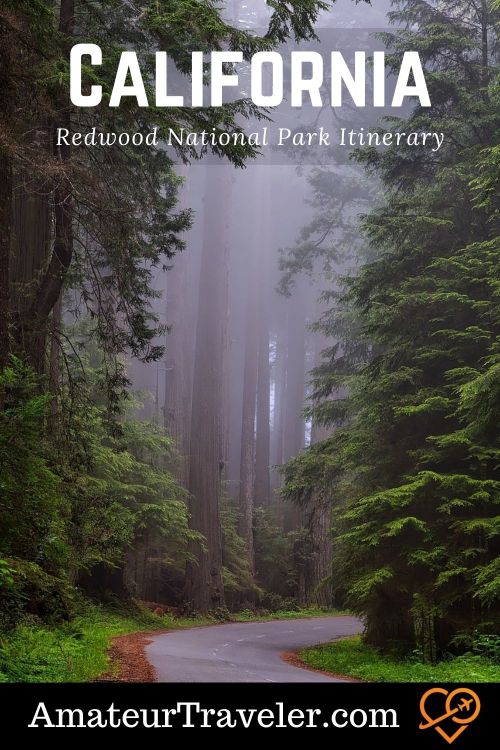 Redwood National Park Itinerary - Big Trees on the California Coast | edwood National Park #redwoods #trees #hikes #california #usa #travel #trip #vacation