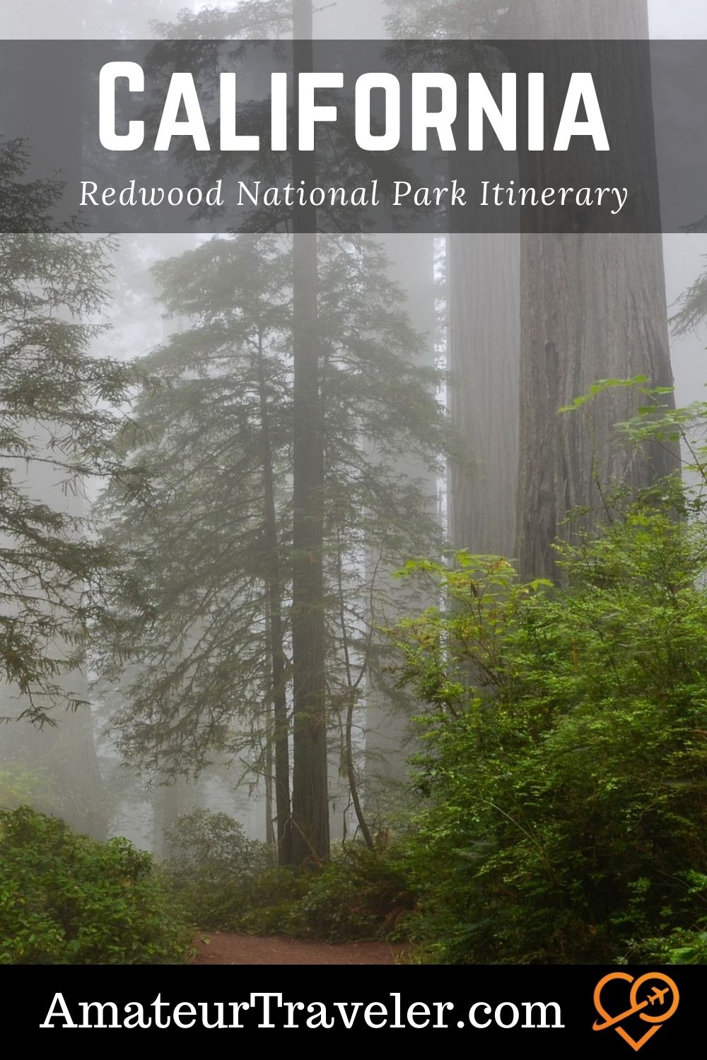 Redwood National Park Itinerary - Big Trees on the California Coast | edwood National Park #redwoods #trees #hikes #california #usa #travel #trip #vacation