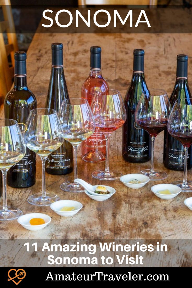 11 Amazing Wineries in Sonoma to Visit #sonoma #wine #winery #sonoma-valley #travel #vacation #trip #holiday #california #usa
