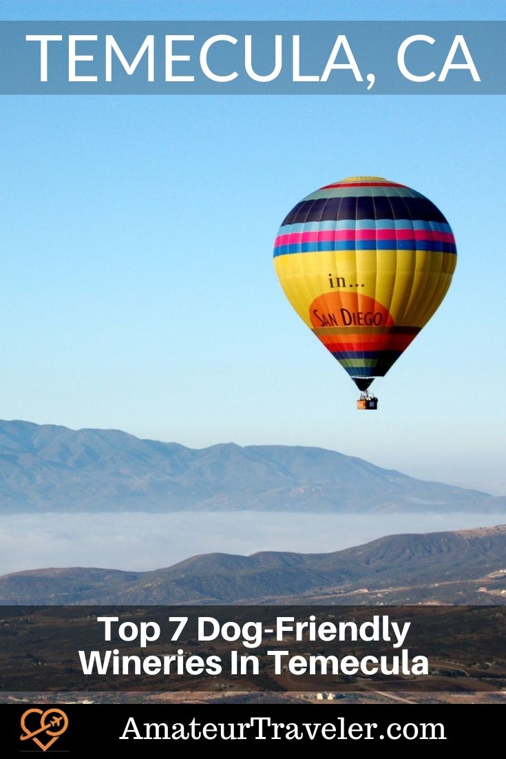 Top 7 Dog-Friendly Wineries In Temecula, California #wine #california #temecula #san-diego #winery #dog #travel #vacation #trip #holiday