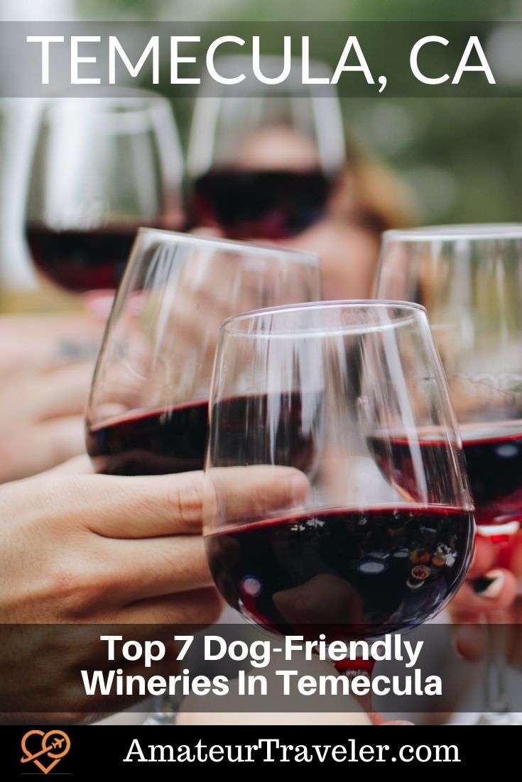 Top 7 Dog-Friendly Wineries In Temecula, California #wine #california #temecula #san-diego #winery #dog #travel #vacation #trip #holiday