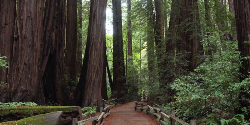 Best Hikes in the Bay Area