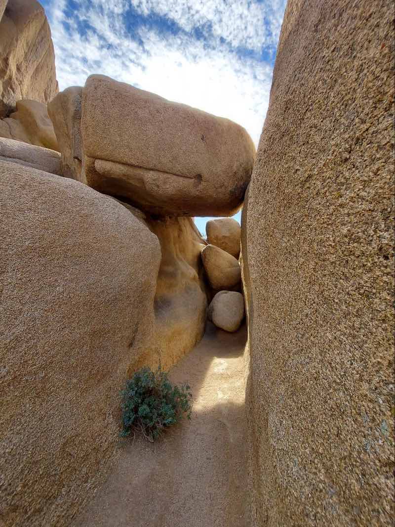 Joshua Tree National Park - Hall of Horrors