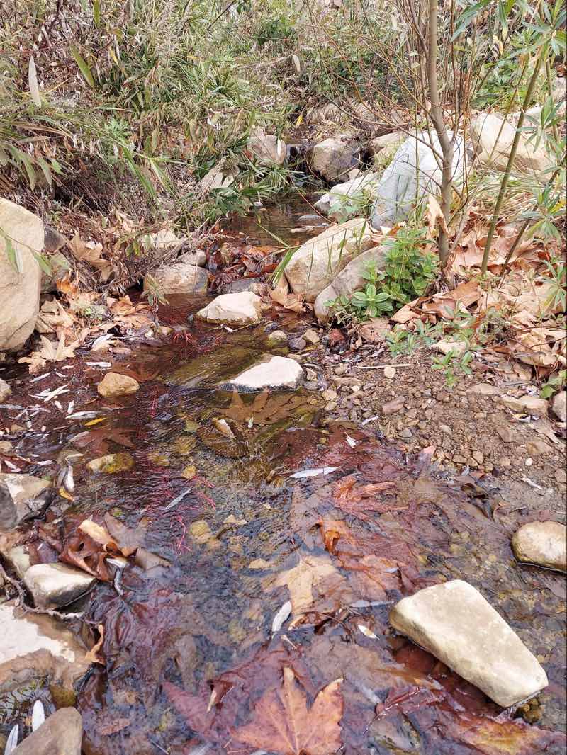 Gaviota Hot Springs