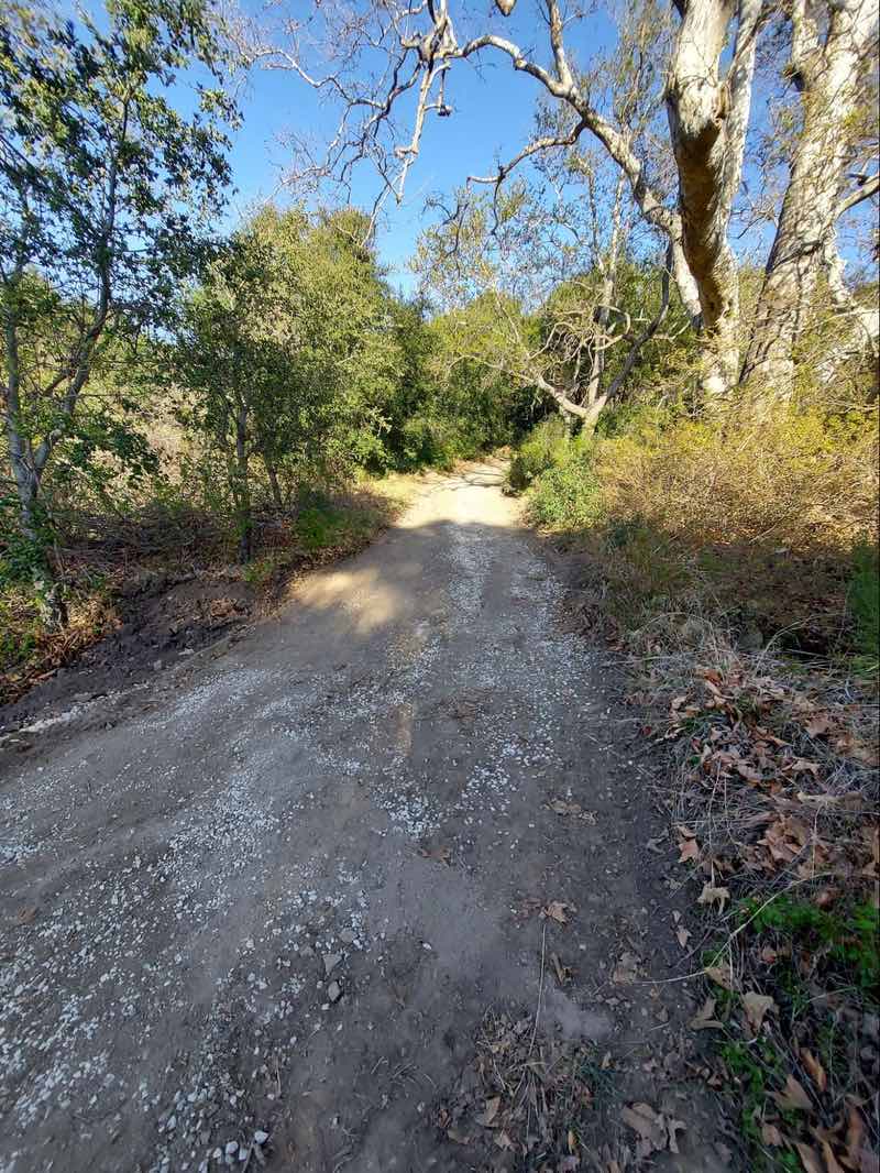 Trail to Gaviota Hot Springs