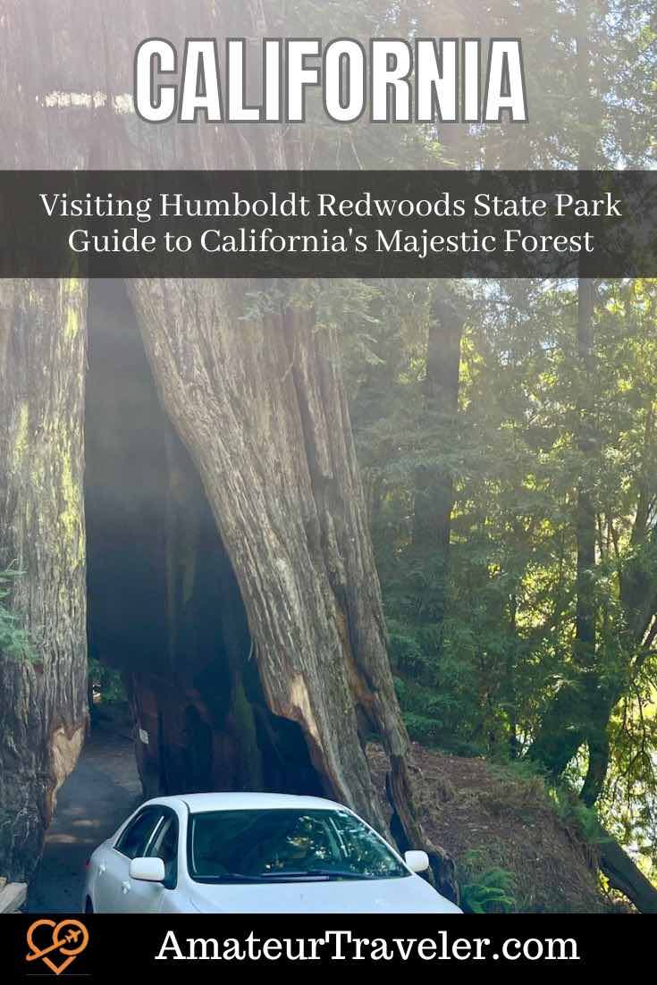 Humboldt Redwoods State Park, located in Northern California just under four hours from San Francisco, is a vast natural sanctuary home to some of the world's tallest and oldest redwoods, offering a variety of outdoor activities, scenic drives like the Avenue of the Giants, family-friendly experiences, and a range of camping options, making it an essential destination for nature lovers and travelers alike. #california #humboldt #redwoods #camping #travel #vacation #trip #holiday