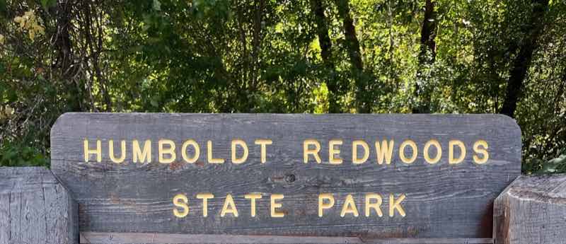 Humboldt Redwoods State Park