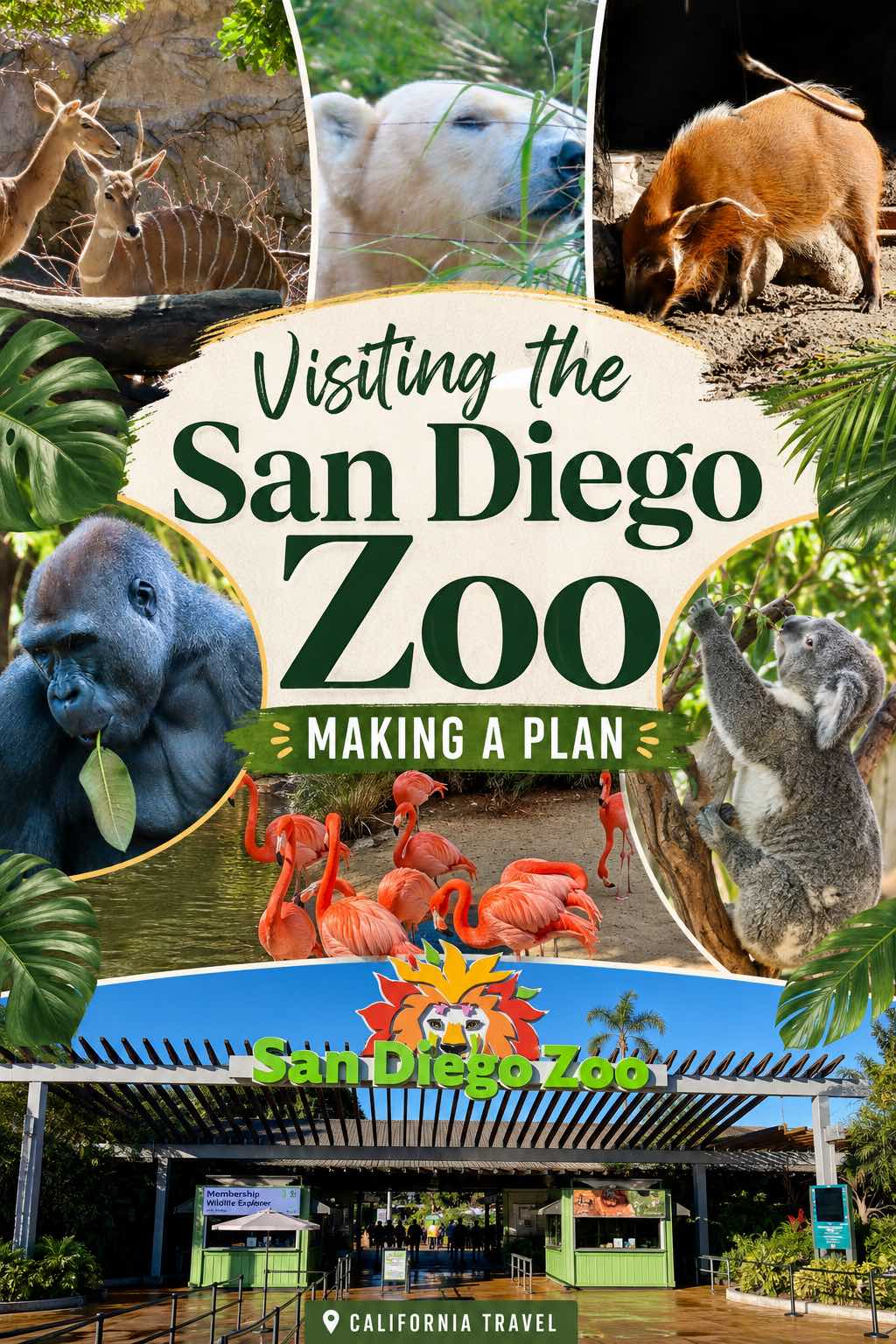 Plan a full day at the San Diego Zoo with a smart route that works with the park’s hills instead of against them. Start with Panda Ridge, explore Lost Forest for hippos, tigers, aviaries, and primates, then visit Wildlife Explorers Basecamp before taking a lunch break and the Guided Bus Tour. In the afternoon, use the Skyfari to reach Northern Frontier, then work your way through Elephant Odyssey, Africa Rocks, the Outback, and Urban Jungle. The guide also covers the best time of year to visit, where to eat, how to use the bus and Skyfari efficiently, military admission, and practical tips for making the most of one day at the zoo.